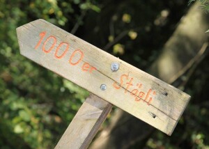 NAV03-UMGEBUNG-1000er-Staegli_800x533.jpg